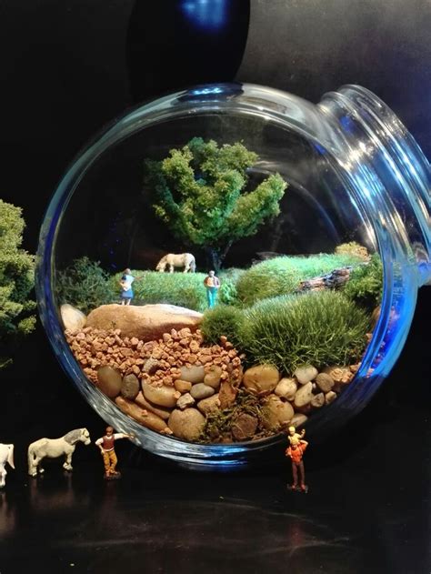 diorama terrarium